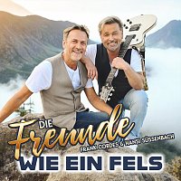Die Freunde – Wie ein Fels