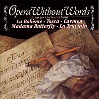 Přední strana obalu CD Opera Without Words