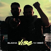 Blacha 2115, Bibič – Vibe