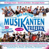 Přední strana obalu CD Das grosze Musikantentreffen - Folge 37