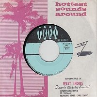 Various  Artists – The Hottest Sounds Around: The Best of Trex Records, Vol. 4