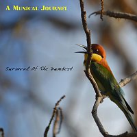 Survival Of The Dumbest – A Musical Journey