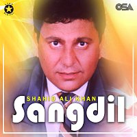 Shahid Ali Khan – Sangdil