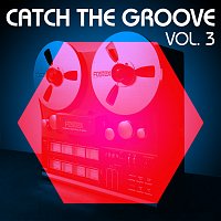 Různí interpreti – Catch The Groove, Vol. 3