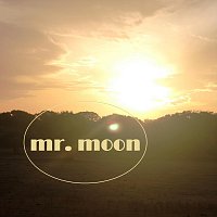 Mr. Moon – Smile To The World