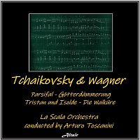Přední strana obalu CD Wagner: Parsifal - Götterdämmerung - Tristan und Isold - Die Walküre (Live)