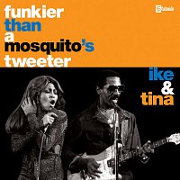 Ike & Tina Turner – Funkier Than A Mosquito's Tweeter