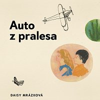 Milena Steinmasslová – Mrázková: Auto z pralesa MP3