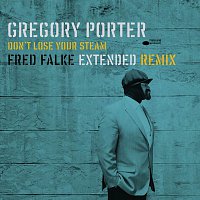 Gregory Porter – Don't Lose Your Steam [Fred Falke Extended Remix]