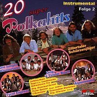 Různí interpreti – 20 super Polkahits - Folge 2