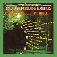 Various  Artists – Serie de Colección, 16 Auténticos Éxitos, Esa No Porque Me Duele