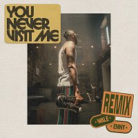 You Never Visit Me [Remix]