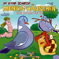 Die kleine Schnecke Monika Hauschen – 39: Warum gurren Tauben?