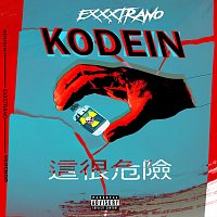 Přední strana obalu CD Kodein