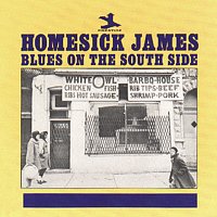 Homesick James – Blues On The South Side