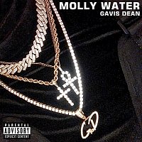 Přední strana obalu CD Molly Water