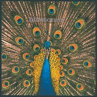 The Bluetones – Expecting To Fly