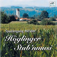 Hoglinger Stub'nmusi – Spaziergang mit der Hoglinger Stub'nmusi