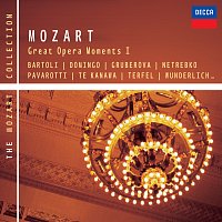 Různí interpreti – Mozart: Great Opera Moments l