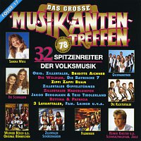 Různí interpreti – Das grosse Musikantentreffen / Folge 17