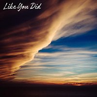 Přední strana obalu CD Like You Did