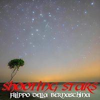 Filippo della Bernaschina – Shooting Stars