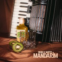 Přední strana obalu CD Pimba e Poncha