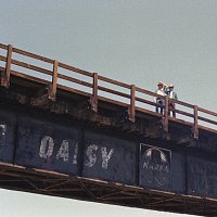 Marfa – Daisy