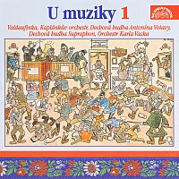 Různí interpreti – U muziky 1 To nejlepší z české dechovky / Vacek , Vejvoda , Poncar ,.. MP3