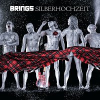 Brings – Silberhochzeit (Best Of)