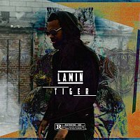 Přední strana obalu CD Tiger