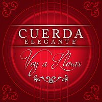 Přední strana obalu CD Voy A Llorar