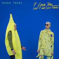 Neon Trees – I Love You (But I Hate Your Friends)