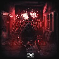 Přední strana obalu CD Dark Action