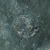 Ludovico Einaudi – Fossils