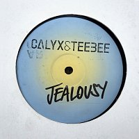 Přední strana obalu CD Jealousy