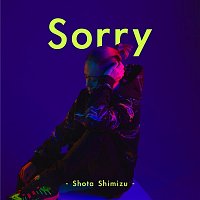Shota Shimizu – Sorry
