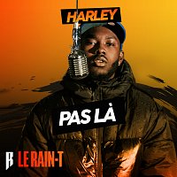 Le Rain-T, Harley – Pas la