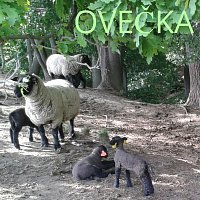 Tuláci – Ovečka