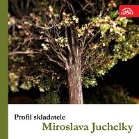 Profil skladatele Miroslava Juchelky