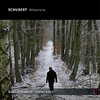 Schubert: Winterreise, D. 911