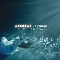Arsenal, Lydmor – Temul (Lie Low)