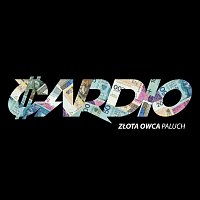 Paluch – Cardio