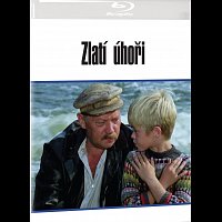Různí interpreti – Zlatí úhoři