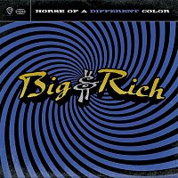 Big & Rich – Horse Of A Different Color