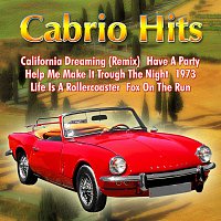 Různí interpreti – Cabrio Hits