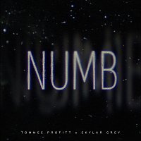 Tommee Profitt, Skylar Grey – Numb