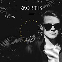 Přední strana obalu CD Engelsstaub