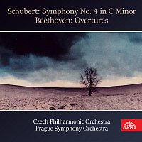 Franz Schubert, Ludwig van Beethoven, různí interpreti – Schubert: Symfonie č. 4 c moll - Beethoven: Předehry FLAC