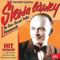 Vejvodova kapela – Jaromír Vejvoda Škoda lásky MP3